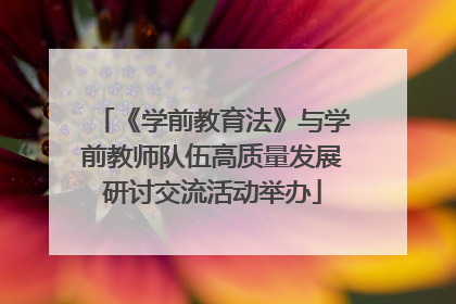 《学前教育法》与学前教师队伍高质量发展研讨交流活动举办