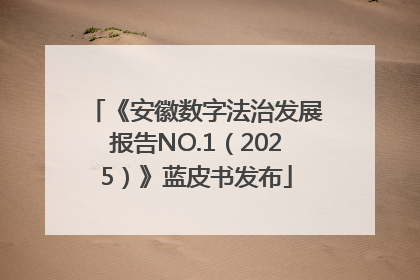 《安徽数字法治发展报告NO.1（2025）》蓝皮书发布