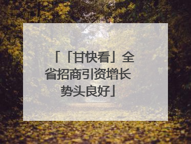 「甘快看」全省招商引资增长势头良好