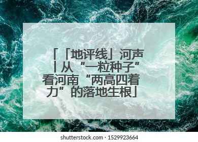 「地评线」河声丨从“一粒种子”看河南“两高四着力”的落地生根