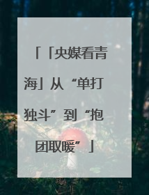 「央媒看青海」从“单打独斗”到“抱团取暖”