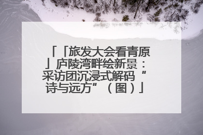 「旅发大会看青原」庐陵湾畔绘新景：采访团沉浸式解码“诗与远方”（图）