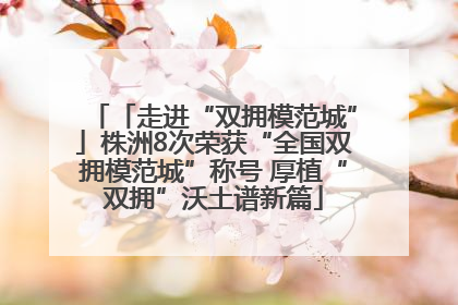 「走进“双拥模范城”」株洲8次荣获“全国双拥模范城”称号 厚植“双拥”沃土谱新篇