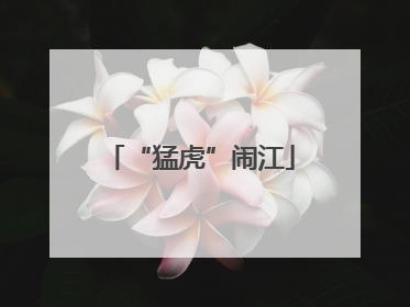 “猛虎”闹江