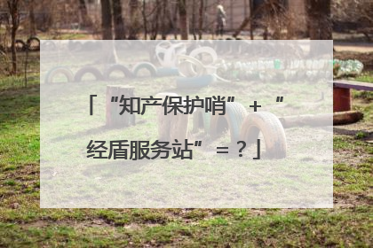 “知产保护哨”+“经盾服务站”=？
