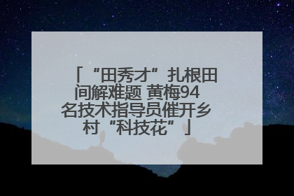 “田秀才”扎根田间解难题 黄梅94名技术指导员催开乡村“科技花”