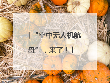 “空中无人机航母”，来了！