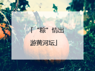 “粽”情出游黄河坛
