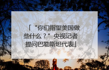 “你们指望美国做些什么？”央视记者提问巴勒斯坦代表