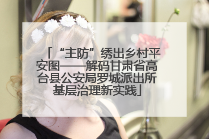 “主防”绣出乡村平安图——解码甘肃省高台县公安局罗城派出所基层治理新实践