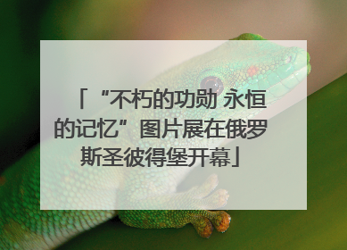 “不朽的功勋 永恒的记忆”图片展在俄罗斯圣彼得堡开幕
