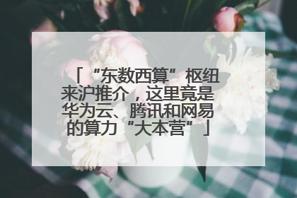 “东数西算”枢纽来沪推介，这里竟是华为云、腾讯和网易的算力“大本营”