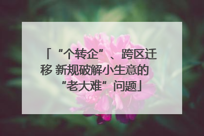 “个转企”、跨区迁移 新规破解小生意的“老大难”问题