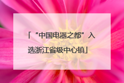 “中国电器之都”入选浙江省级中心镇