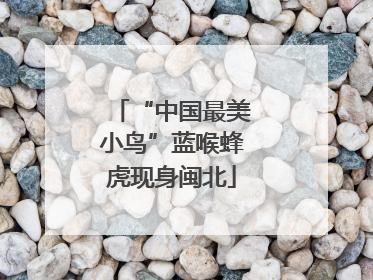“中国最美小鸟”蓝喉蜂虎现身闽北