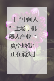 “中间人”上场，机器人产业“真空地带”正在消失
