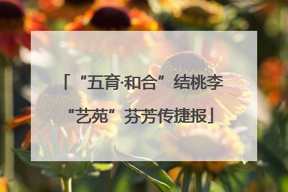 “五育·和合”结桃李 “艺苑”芬芳传捷报