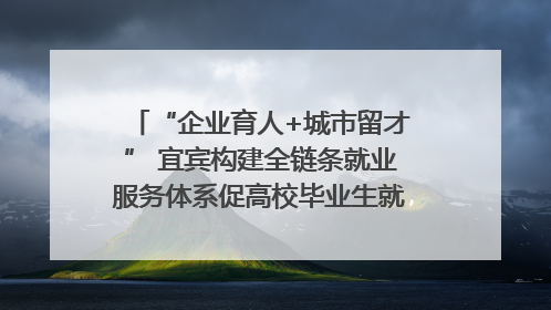“企业育人+城市留才” 宜宾构建全链条就业服务体系促高校毕业生就业｜您牵挂的四川