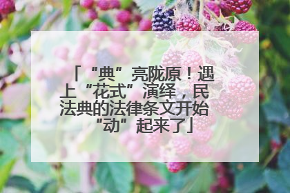 “典”亮陇原！遇上“花式”演绎，民法典的法律条文开始“动”起来了