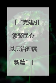 “党建引领聚民心·基层治理展新篇”