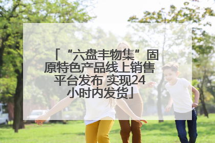 “六盘丰物集”固原特色产品线上销售平台发布 实现24小时内发货