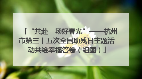 “共赴一场好春光”——杭州市第三十五次全国助残日主题活动共绘幸福答卷（组图）