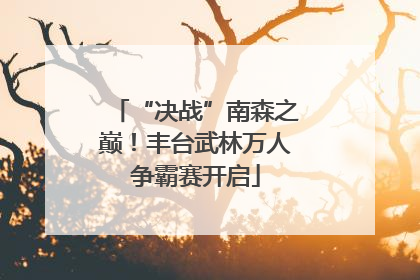 “决战”南森之巅！丰台武林万人争霸赛开启