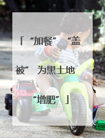 “加餐”“盖被” 为黑土地“增肥”