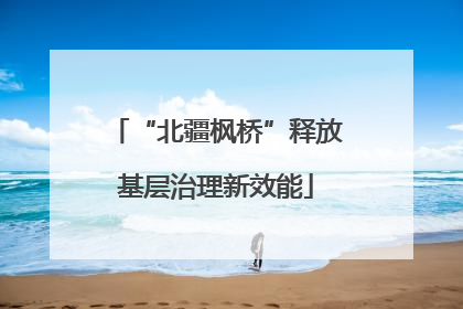 “北疆枫桥”释放基层治理新效能