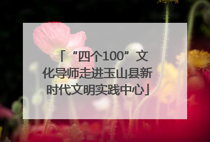 “四个100”文化导师走进玉山县新时代文明实践中心