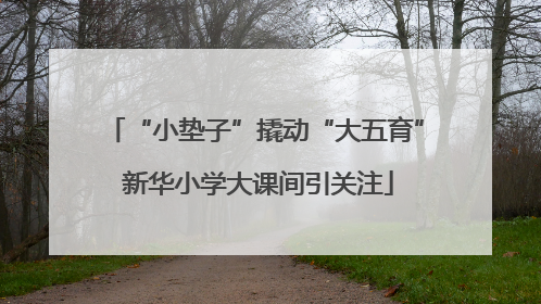 “小垫子”撬动“大五育” 新华小学大课间引关注