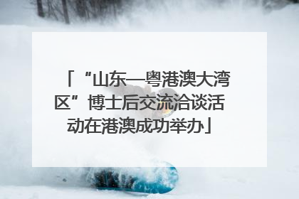 “山东—粤港澳大湾区”博士后交流洽谈活动在港澳成功举办