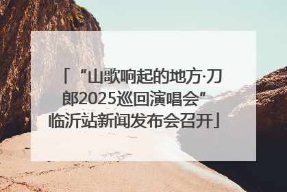 “山歌响起的地方·刀郎2025巡回演唱会”临沂站新闻发布会召开