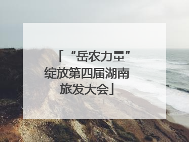 “岳农力量”绽放第四届湖南旅发大会