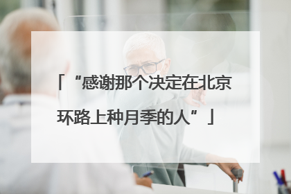 “感谢那个决定在北京环路上种月季的人”