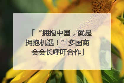 “拥抱中国，就是拥抱机遇！”多国商会会长呼吁合作