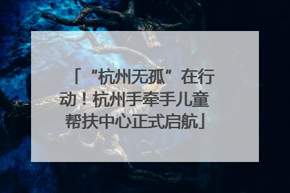 “杭州无孤”在行动！杭州手牵手儿童帮扶中心正式启航