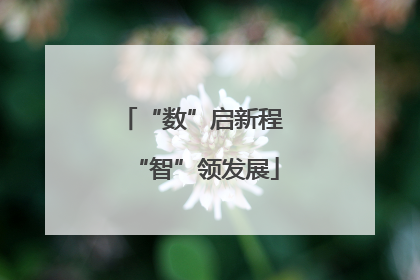 “数”启新程 “智”领发展