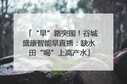 “旱”路突围！谷城盛康智能旱直播：缺水田“喝”上高产水