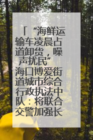 “海鲜运输车凌晨占道卸货，噪声扰民” 海口博爱街道城市综合行政执法中队：将联合交警加强长堤路一带巡逻