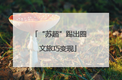 “苏超”踢出圈 文旅巧变现