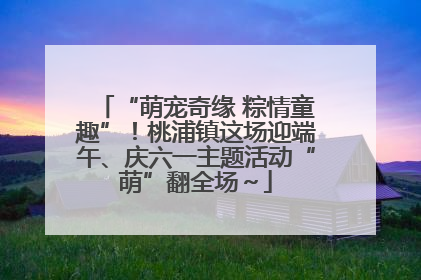 “萌宠奇缘 粽情童趣”！桃浦镇这场迎端午、庆六一主题活动“萌”翻全场～