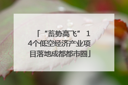 “蓄势高飞” 14个低空经济产业项目落地成都都市圈
