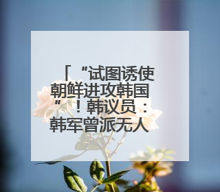 “试图诱使朝鲜进攻韩国”！韩议员：韩军曾派无人机侵入平壤