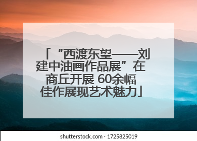 “西渡东望——刘建中油画作品展”在商丘开展 60余幅佳作展现艺术魅力