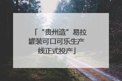 “贵州造”易拉罐装可口可乐生产线正式投产