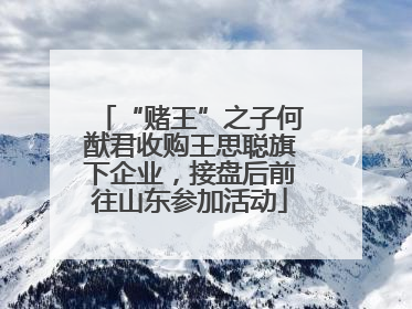 “赌王”之子何猷君收购王思聪旗下企业，接盘后前往山东参加活动