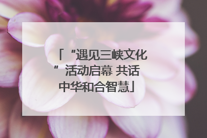 “遇见三峡文化”活动启幕 共话中华和合智慧