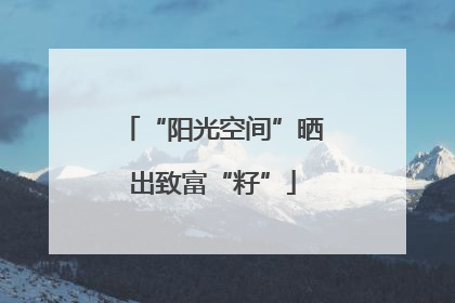 “阳光空间”晒出致富“籽”