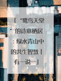 “鹭鸟天堂”的诗意栖居：绿水青山中的共生智慧丨有一说一